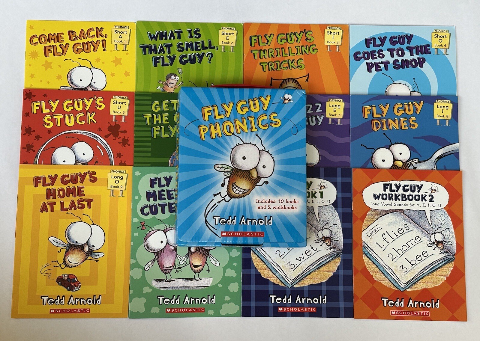 Fly Guy Phonics Children’s Books Beginning Readers Lot 12