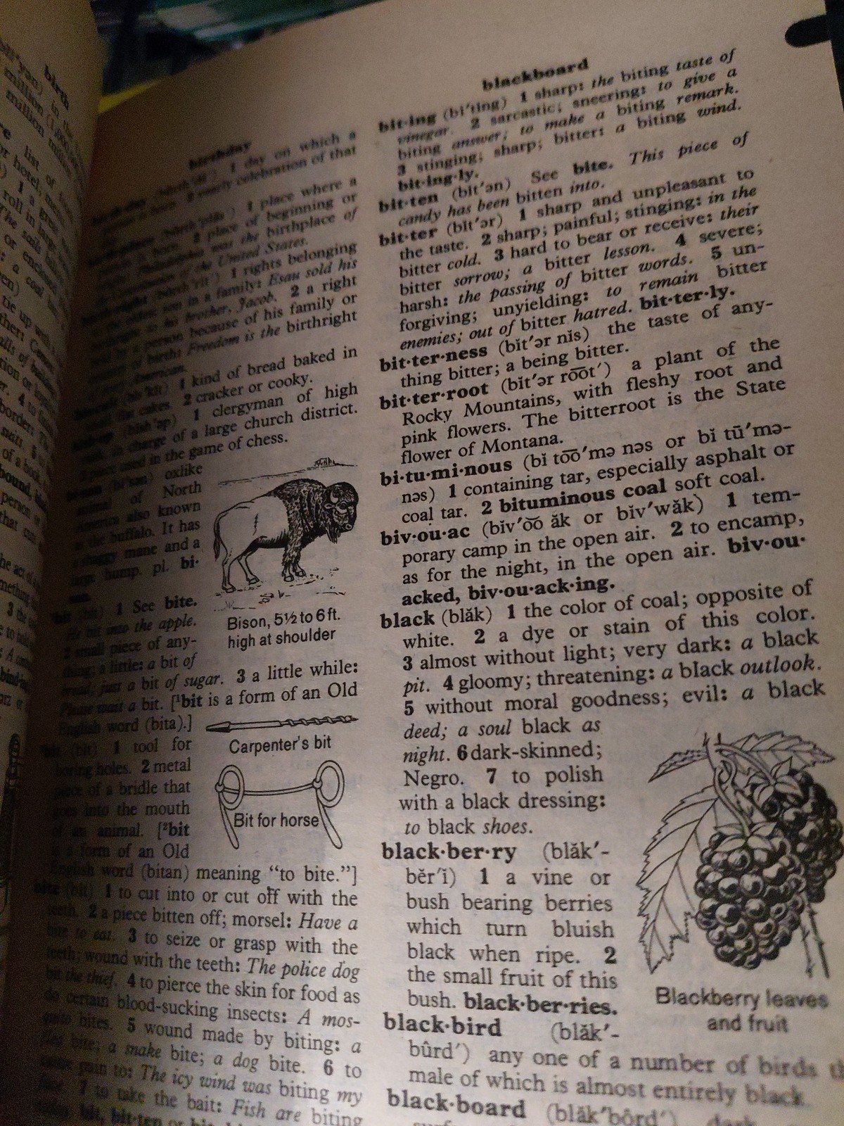 VINTAGE SCHOLASTIC DICTIONARY OF AMERICAN ENGLISH 1970’s PAPERBACK 864 PAGES