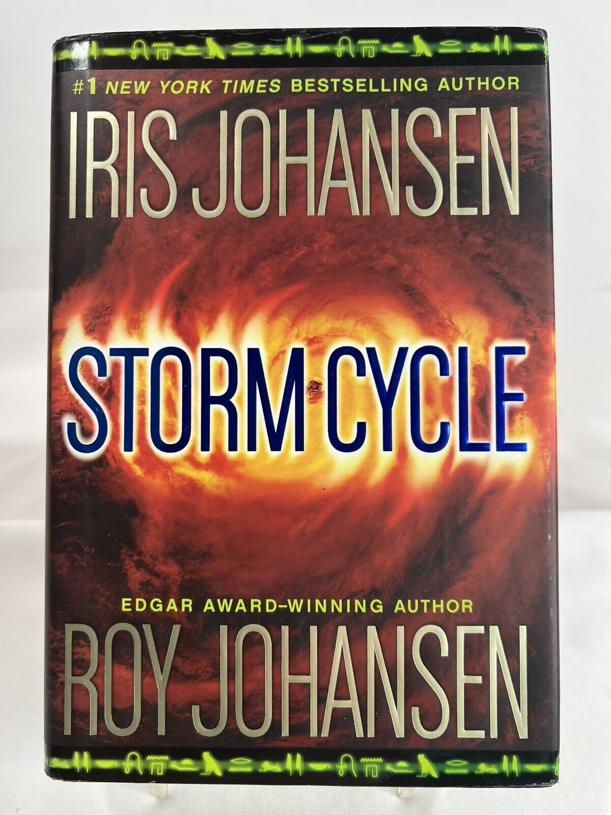 Iris Johansen Stormcycle Like New Hardcover Thriller Book Adults Unbranded