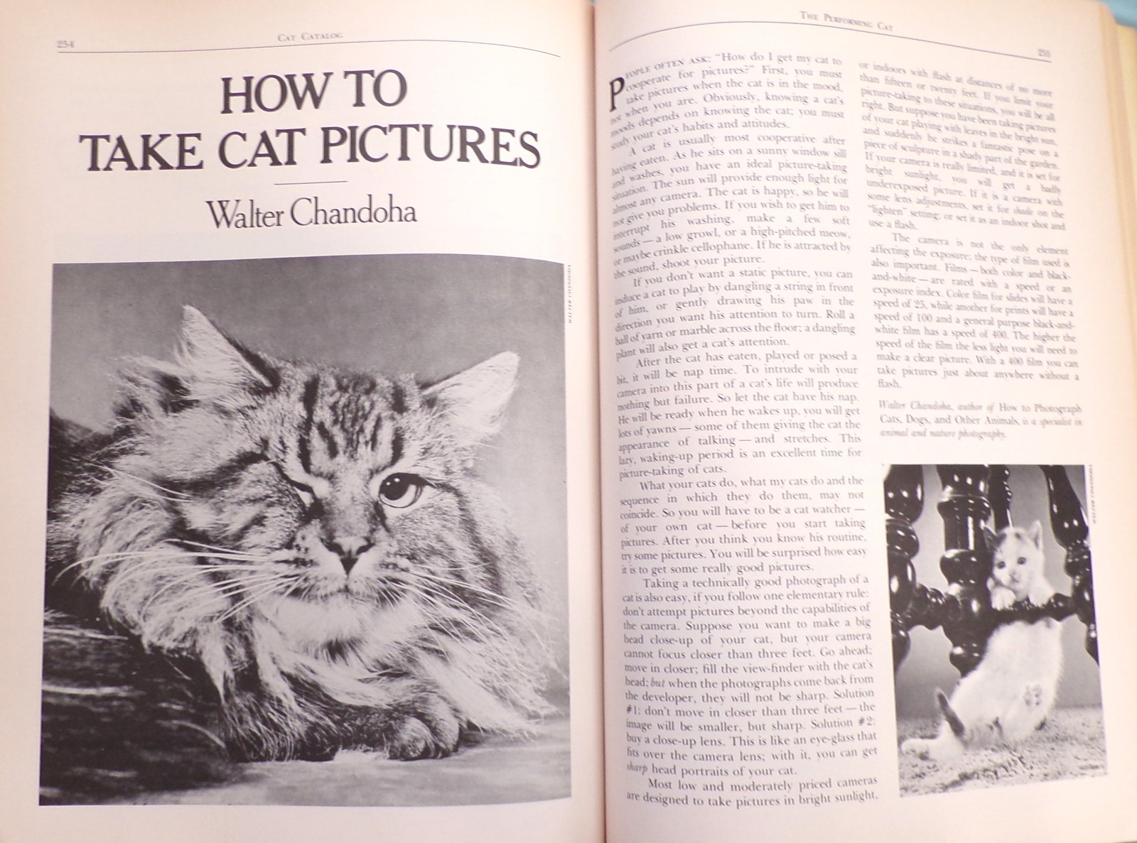 “Cat Catalog”, The Ultimate Cat Book, Large “Very Good” 1st Ed. Book, 352 pages