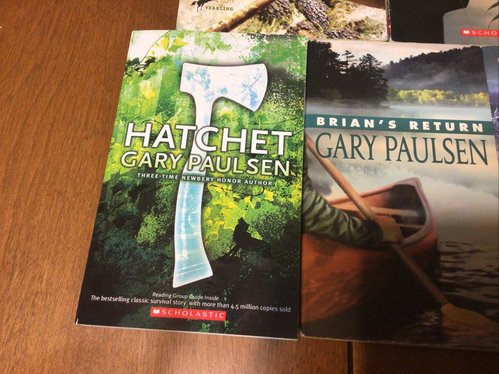 Complete Set Lot Of 5 BRIAN Books Paulsen HATCHET River HUNT Return WINTER (L1)