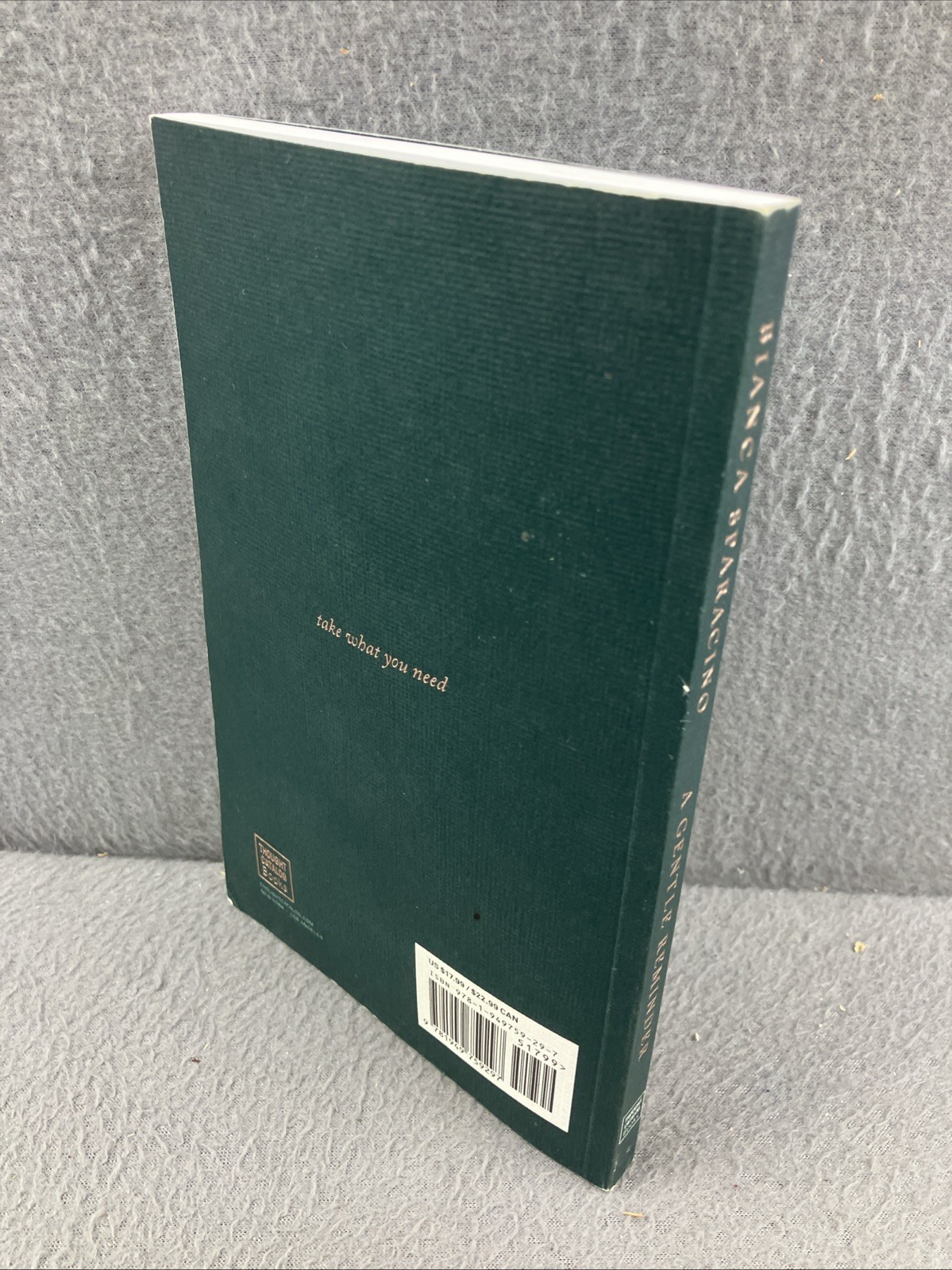 A Gentle Reminder 2020 Thought Catalog Books by Bianca Sparacino GOOD