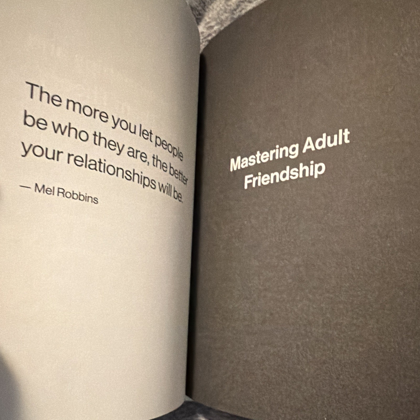 Mel Robbins & Sawyer Robbins The Let Them Theory Hardcover 2024 Hay House