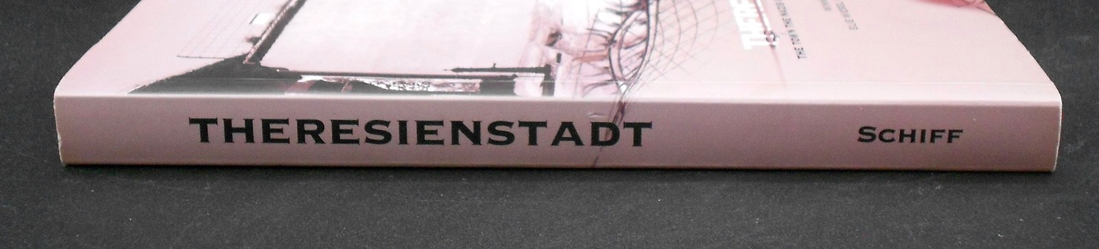 THERESIENSTADT: THE TOWN THE NAZIS GAVE TO THE JEWS by SCHIFF 2006, SIGNED PB NF