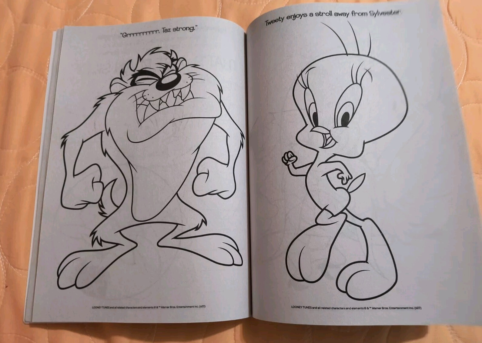 Looney Tunes Jumbo Coloring & Activity Book with Tear & Share Pages 🆕🆓 ship!