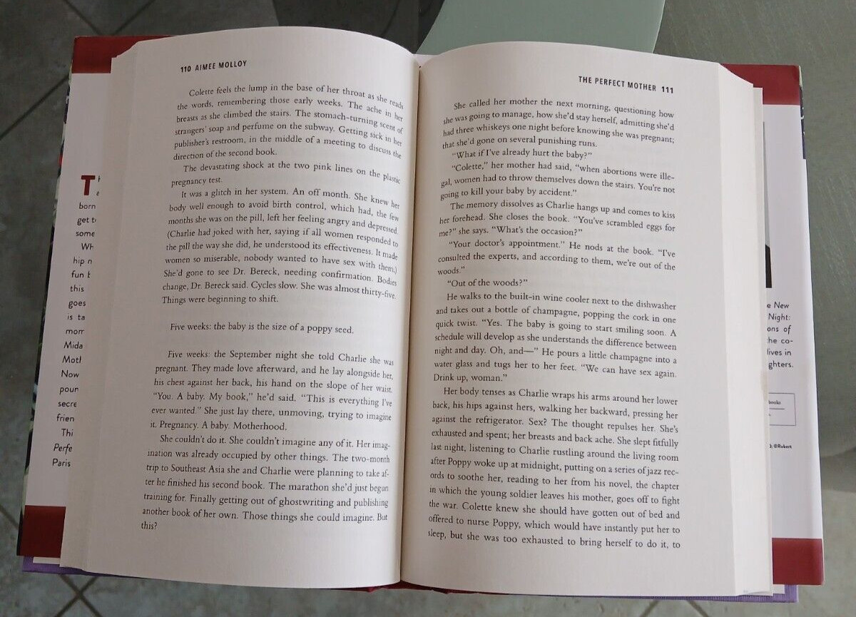 The Perfect Mother By Aimee Molloy Hardcover 317 Pages