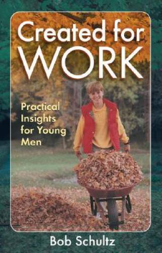 Created for Work: Practical Insights for Young Men – Paperback – VERY GOOD