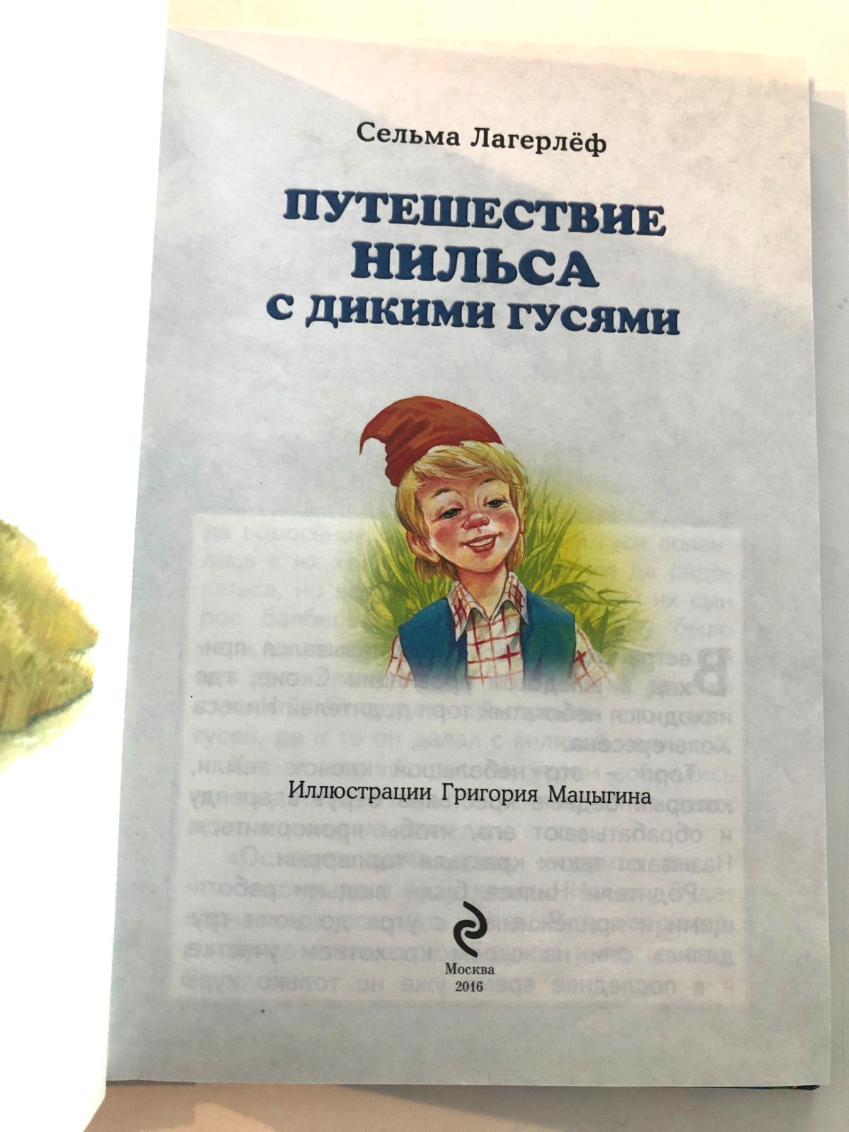 Сельма Лагерлёф Путешествие Нильса С Дикими Гусями 2016 Hardcover