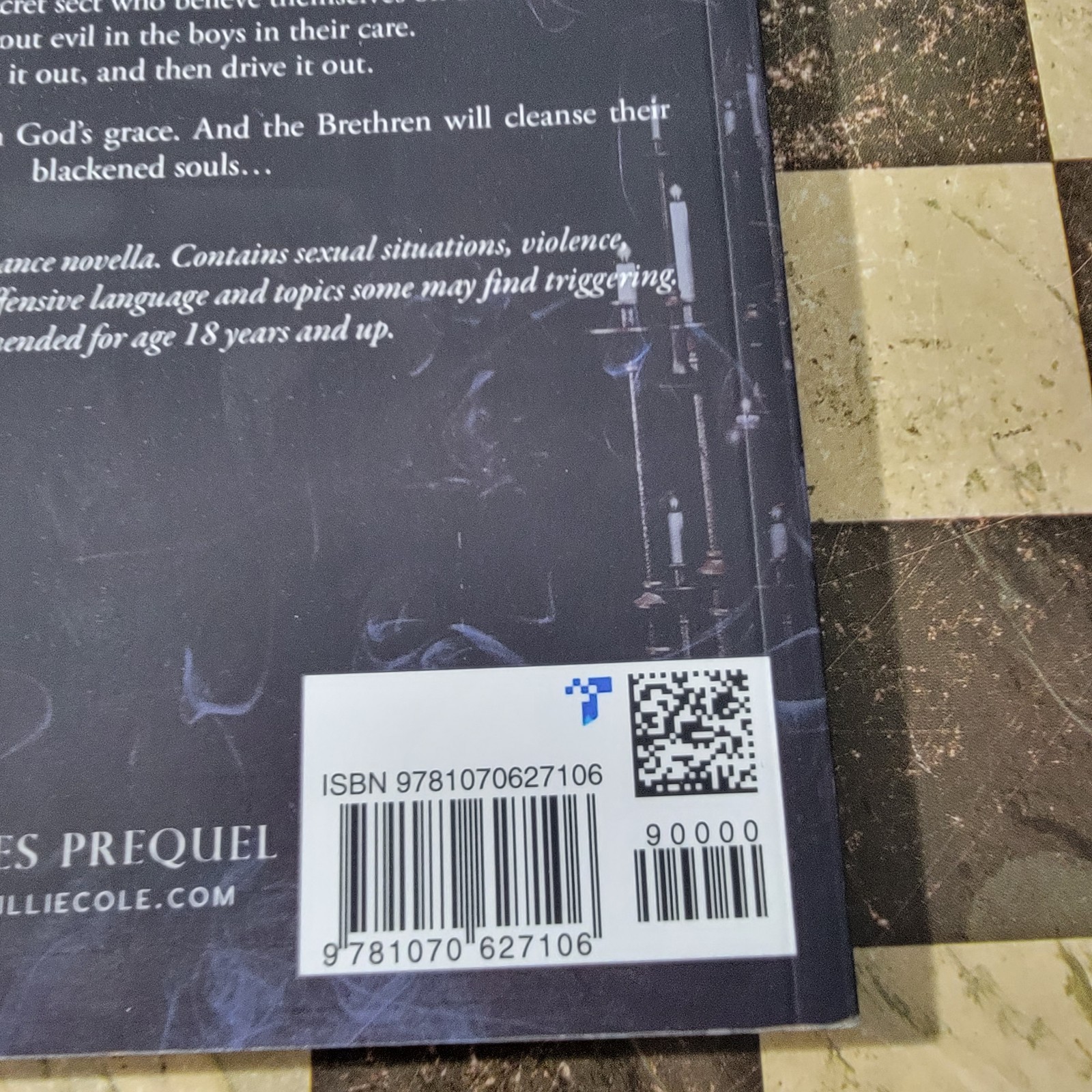 Fallen: Genesis by Tillie Cole (2019, Trade Paperback)