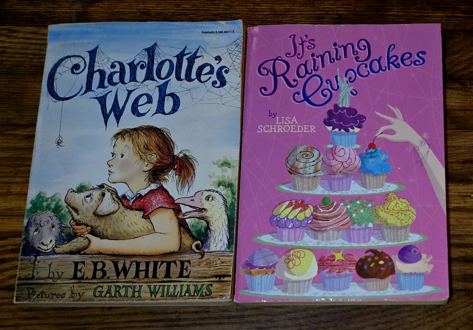 4th 5th Grade 20 Chapter Books Teacher Classroom Library Set Homeschool FB584
