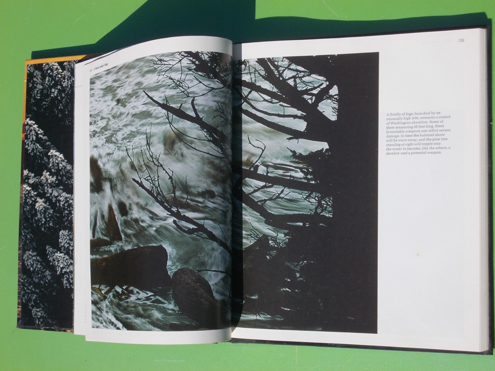 THE NORTHWEST COAST TIME-LIFE THE AMERICAN WILDERNESS (1973 HARDCOVER 184 PAGES)