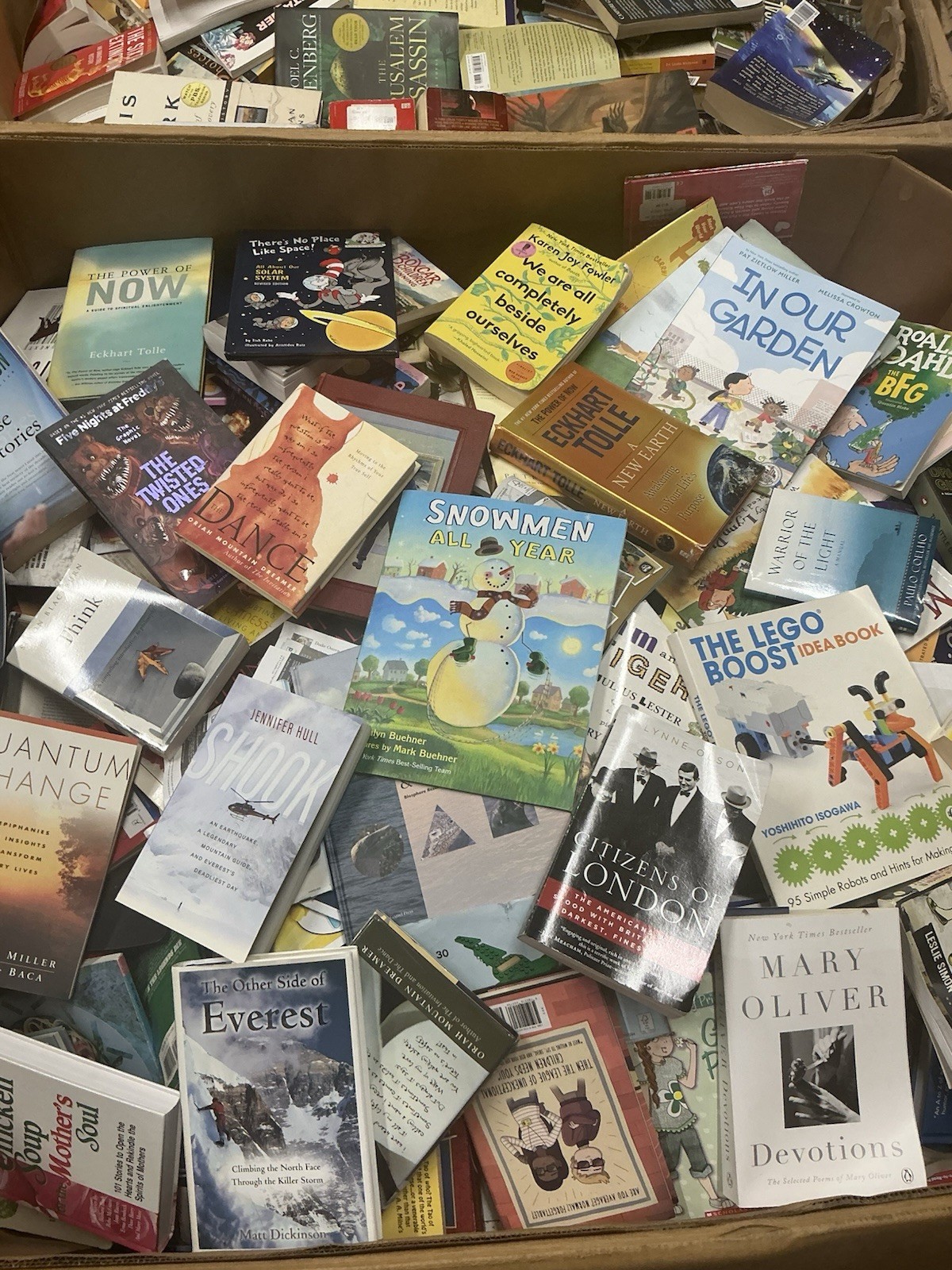 10 Pound Book Lot: Choose Your Genre-Fiction Nonfiction Kids Self-Help History