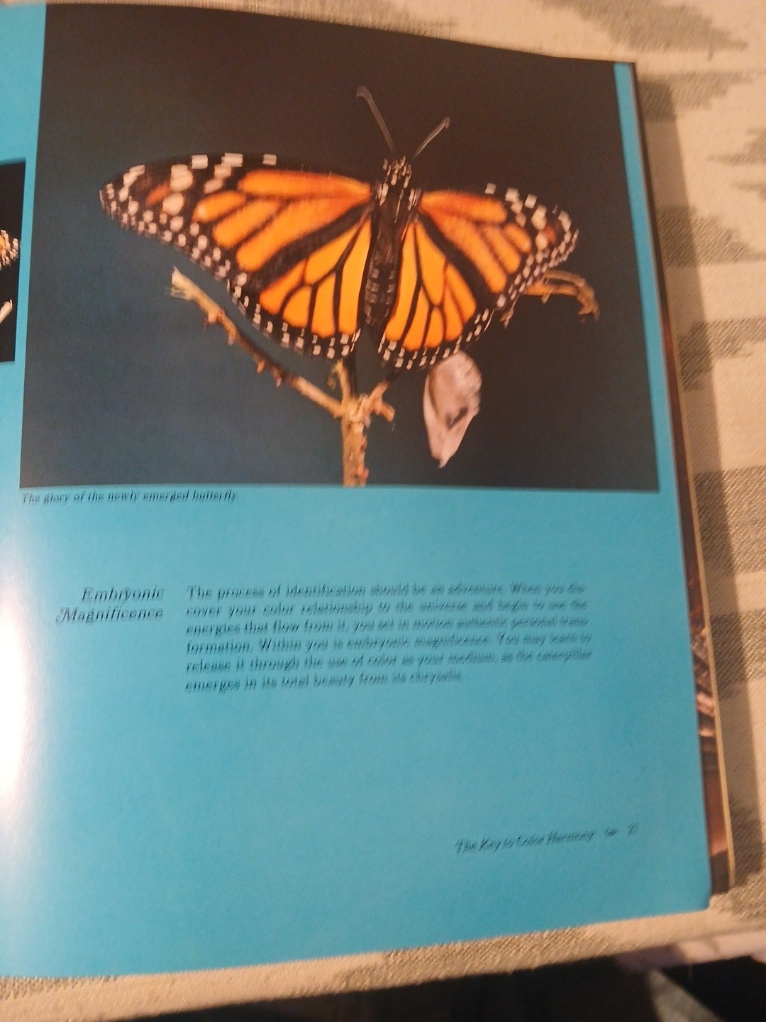 Color The Essence of You by Suzanne Caygill 1st Edition No DJ, SEE DESCRIPTION