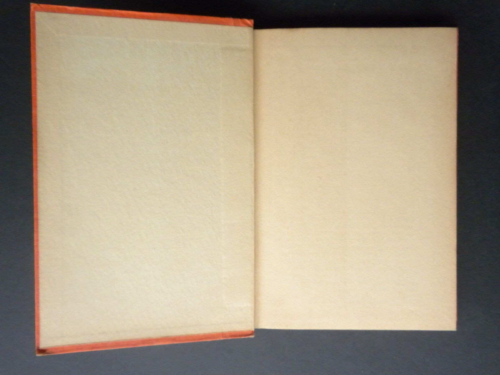 FIVE LITTLE MARTINS Caroline Van Buren 1936 Children’s adventure novel 244 pages
