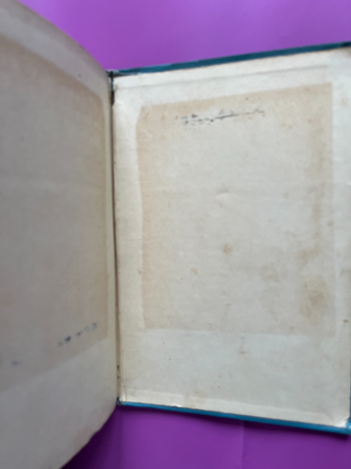THE BLUE ROSE FAIRY BOOK by Maurice Baring, 1911, First Edition, illustraed RARE