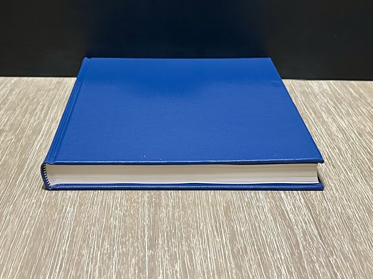 JAMES PAINE (STUDIES IN ARCHITECTURE, VOL 25) By Peter E. Leach 1988 HC/DJ