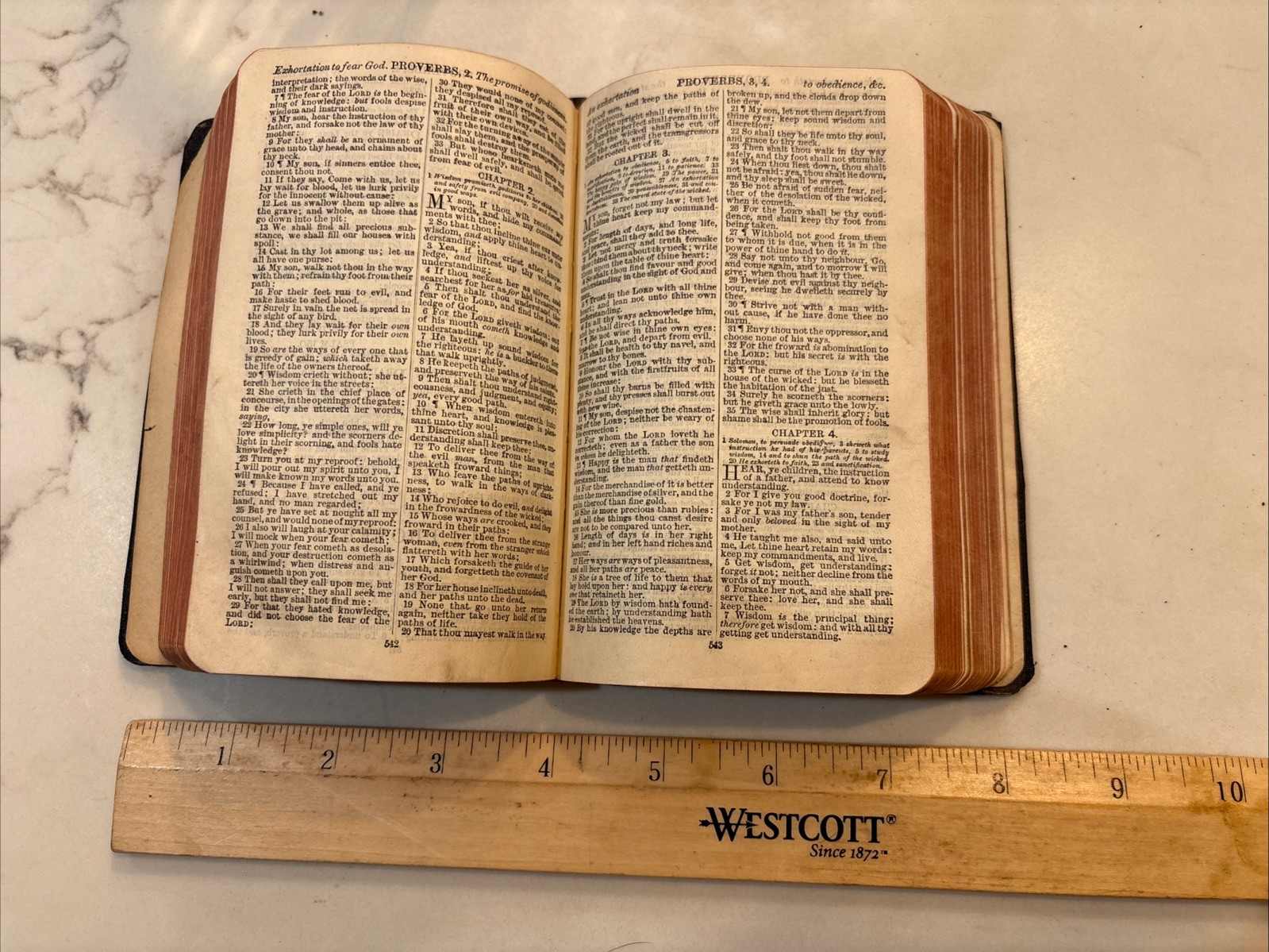 Antique Holy Bible Appointed to be read in Churches 1910 Cambridge London