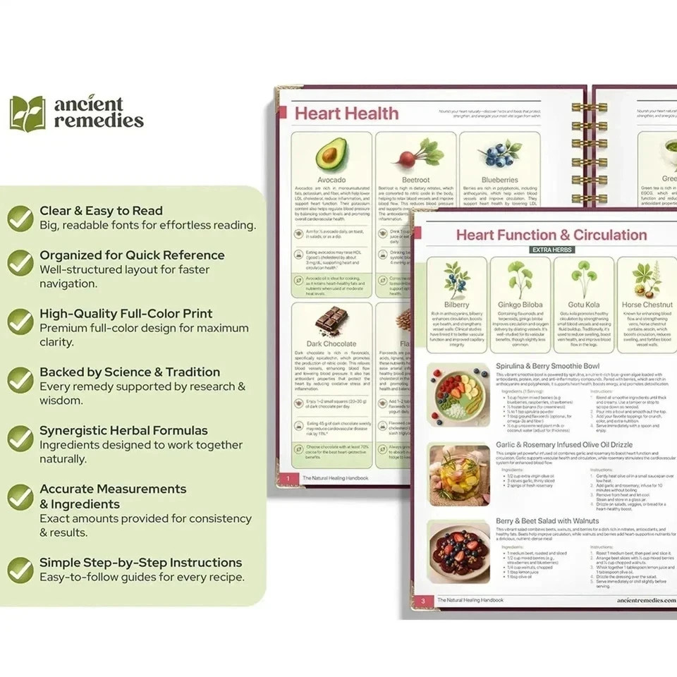 The Natural Healing Handbook Spiral Bound Guide For Herbal Remedies And NaturalT