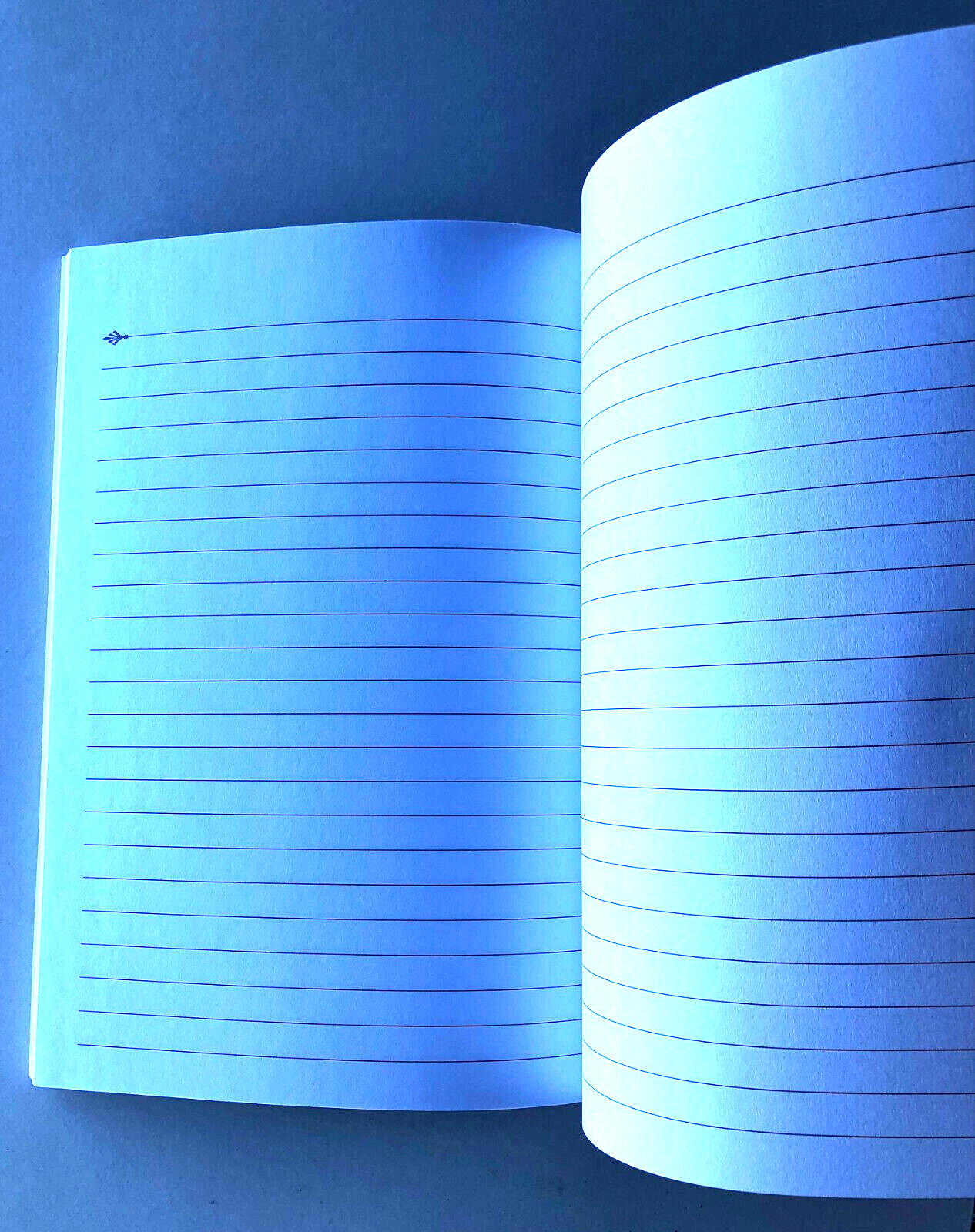 Arcadia Publishing My History : Journal – 110 blank pages – FAST SHIPPING