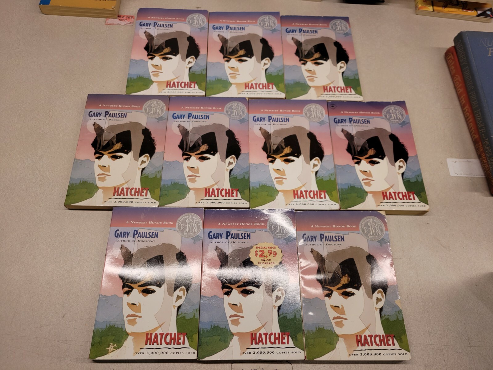 Guided Reading Lot of 10 Copies of Hatchet by Gary Paulsen – Paperback
