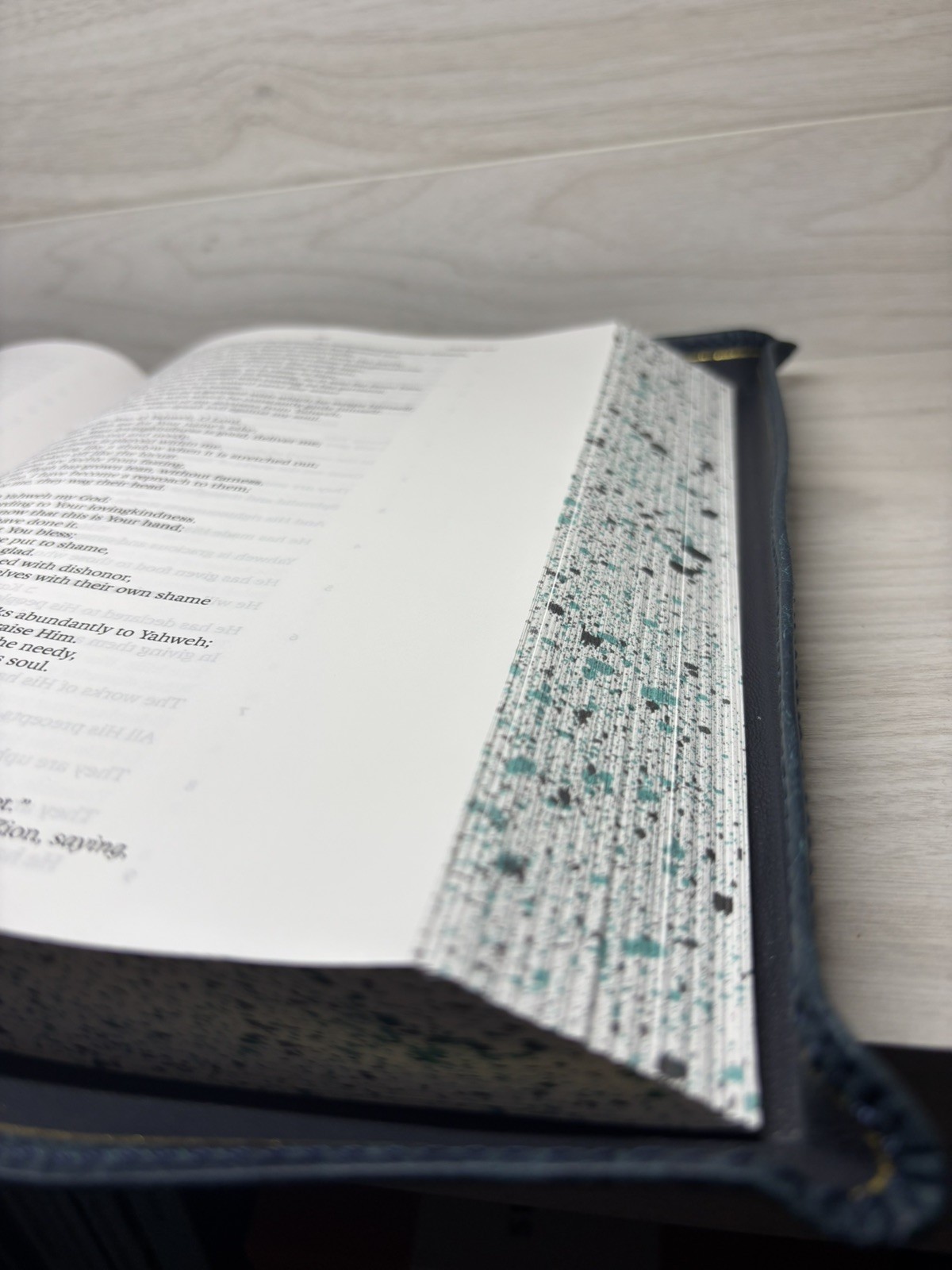 LSB Large Print- Wide Margin Badalassi Carlo Pueblo Sapphire Bible – Rebind