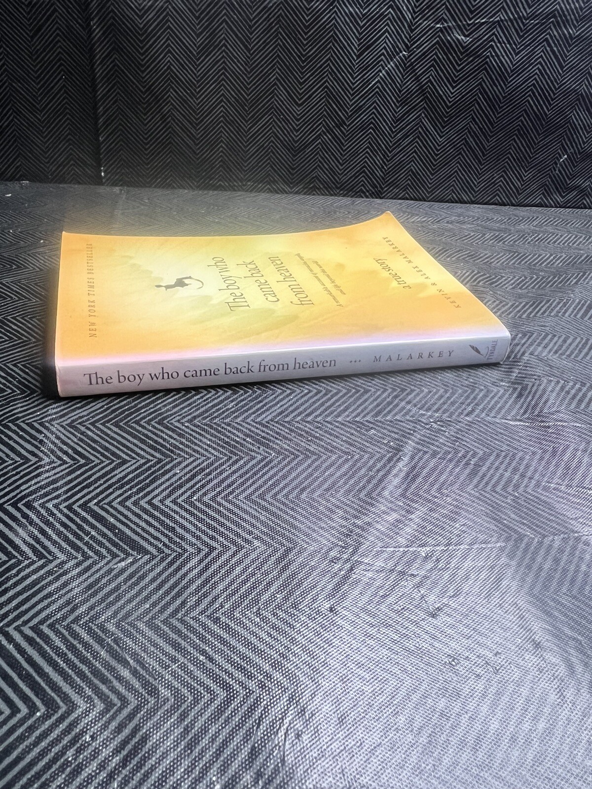 The Boy Who Came Back From Heaven Paperback Book Malarkey