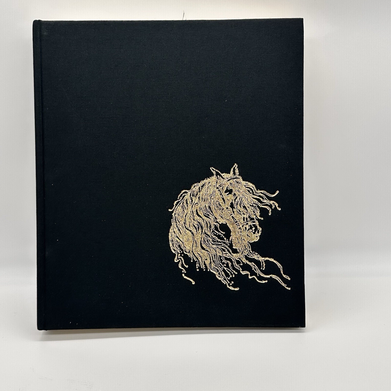Classic Book of Horses Robert Vavra’s 1st Edition 1992 Hardcover DJ 359 Pages.