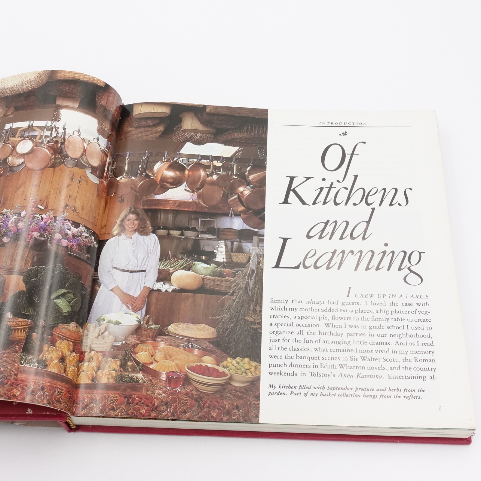 Entertaining by Martha Stewart 1982 1st Edition HB DJ 22nd Printing VGUC
