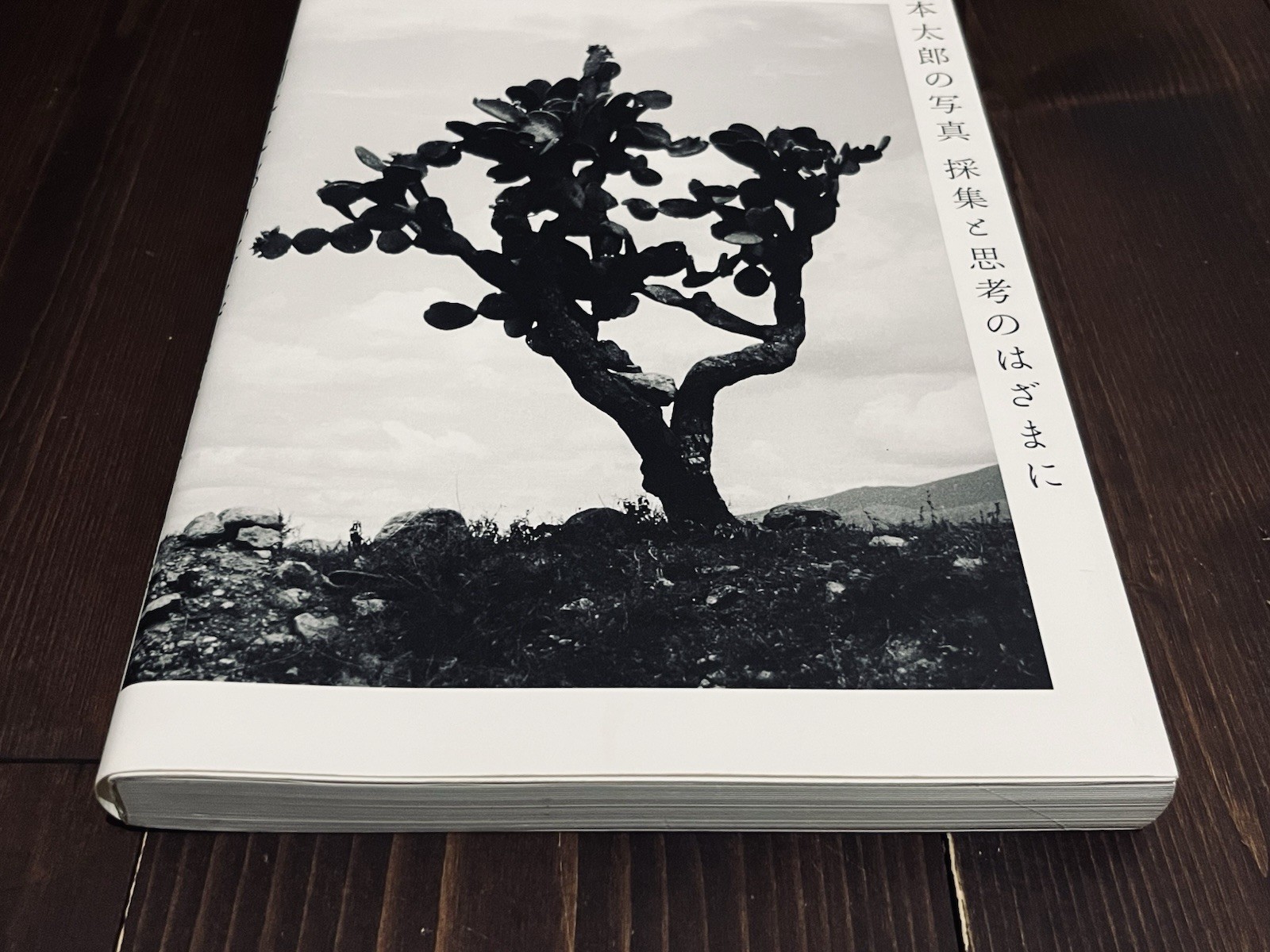 TARO OKAMOTO FOR THE SAKE OF THOUGHT PHOTO EXHIBITION CATALOG BOOK 2018 JAPAN