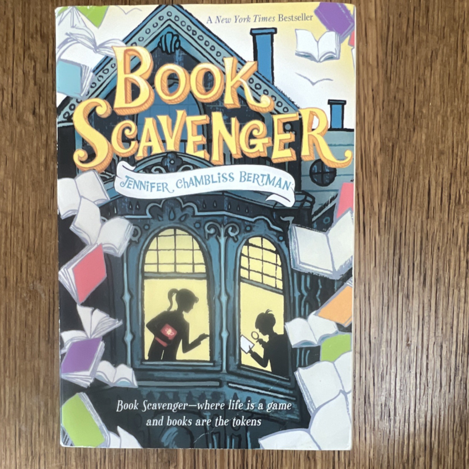 Square Fish Book Scavenger Jennifer Chambliss Bertman Paperback Series Ages 9-14