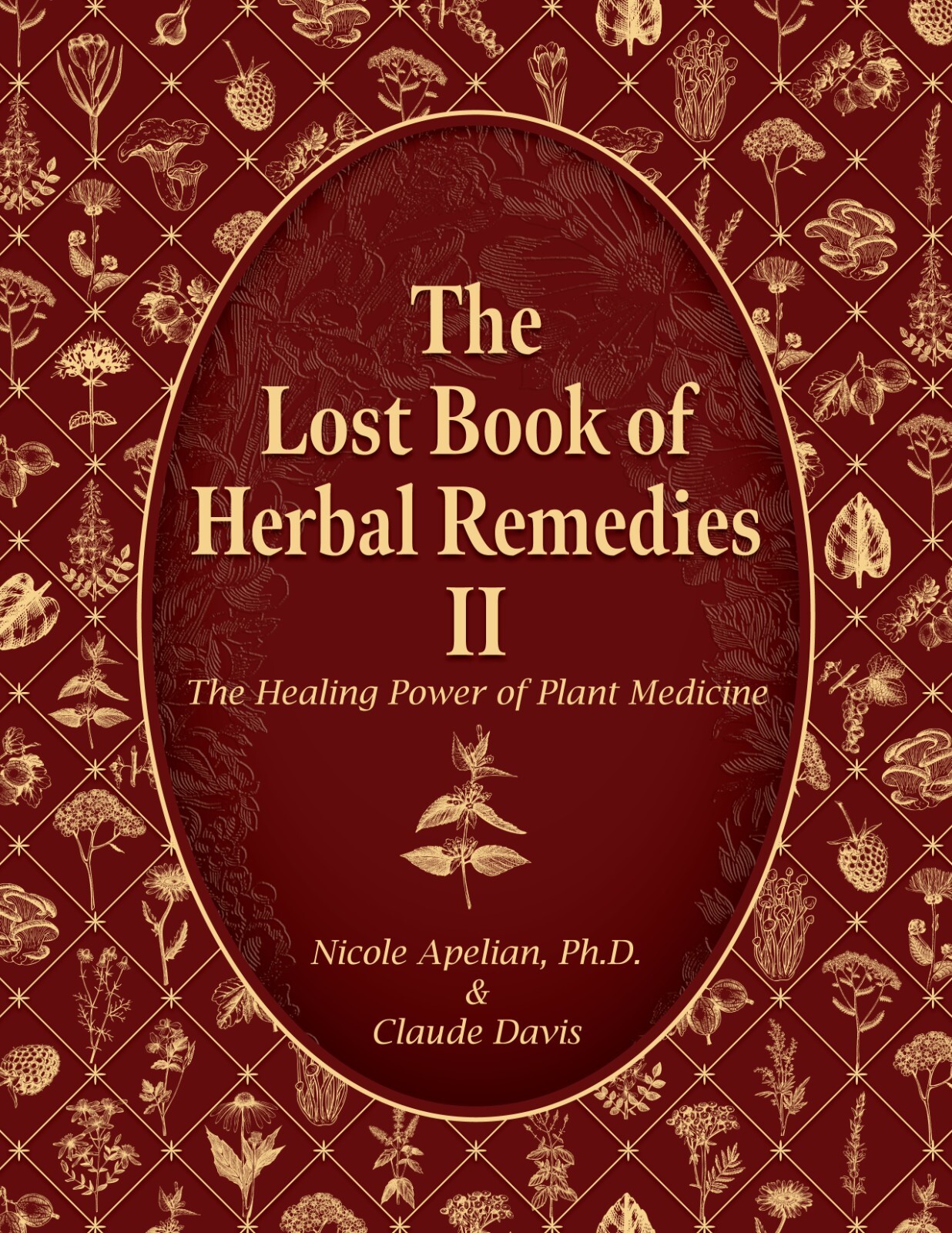 The Lost Book of Herbal Remedies II (paperback with color pictures)
