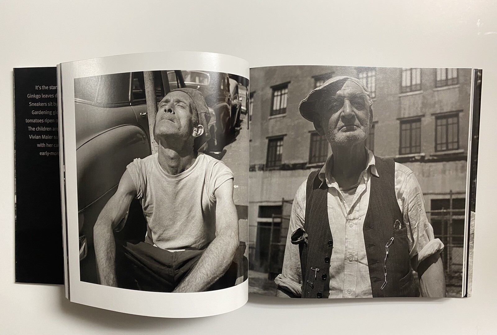Vivian Maier: Out of the Shadows Mint Copies Out Of Print Book $60 List
