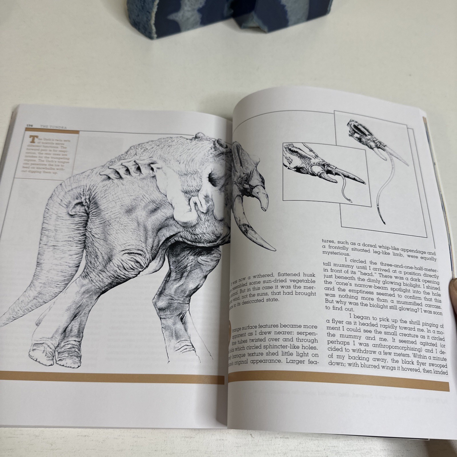 Wayne Douglas Barlowe Expedition (Paperback)