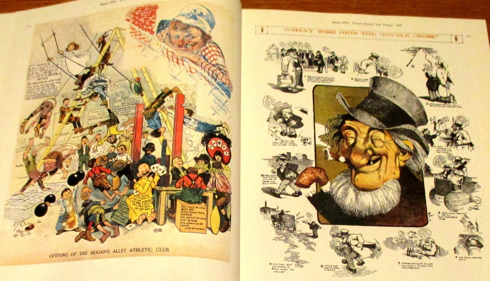 1977 The Smithsonian Collection of Newspaper Comics Hardcover Book 336 Pages
