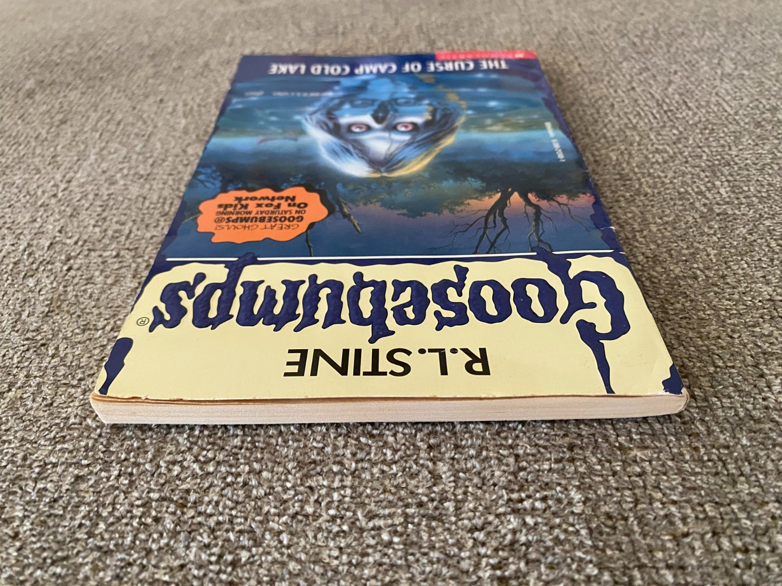 VG-/G+ Thin Edition 1st print Goosebumps #56 The Curse of Camp Cold Lake ~ Stine