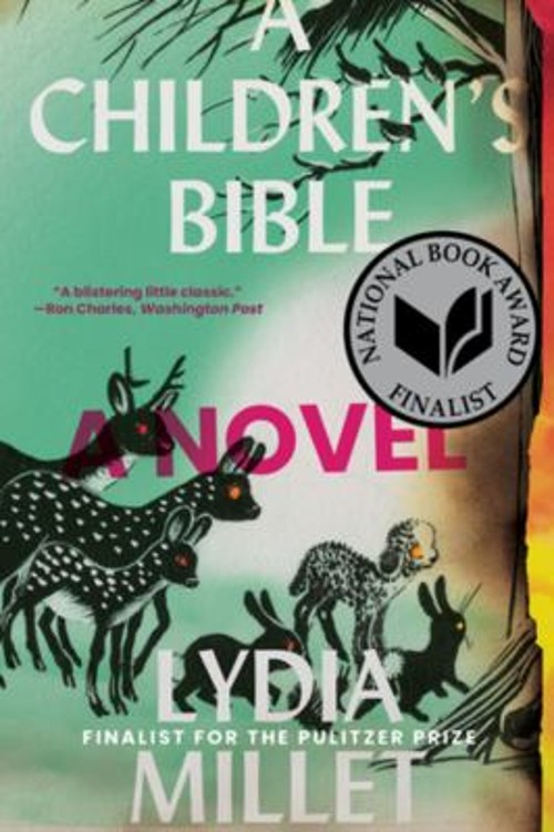 A Children’s Bible : A Novel Paperback Lydia Millet