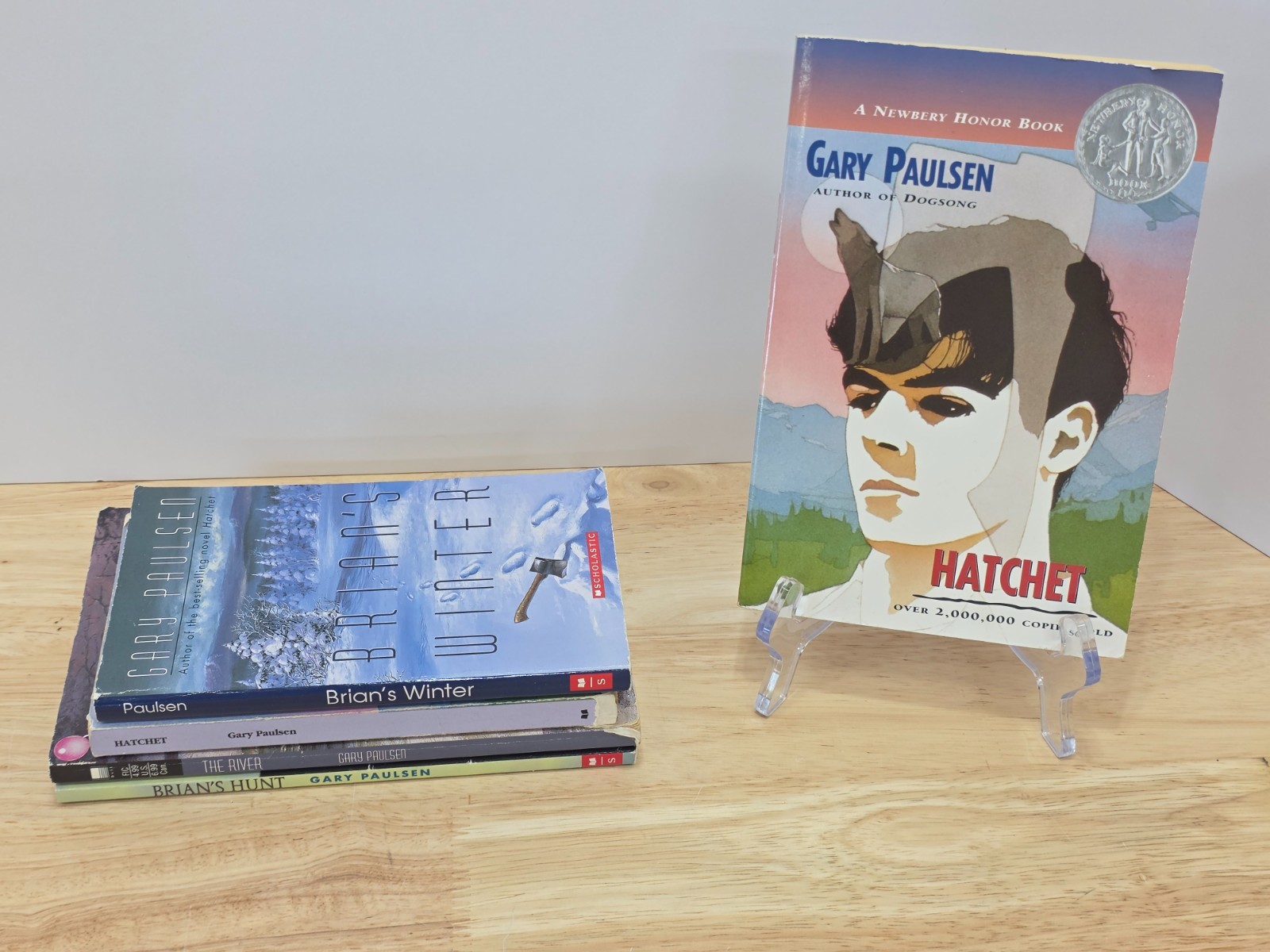 Lot of 5 Gary Paulson Hatchet Series Paperback Books