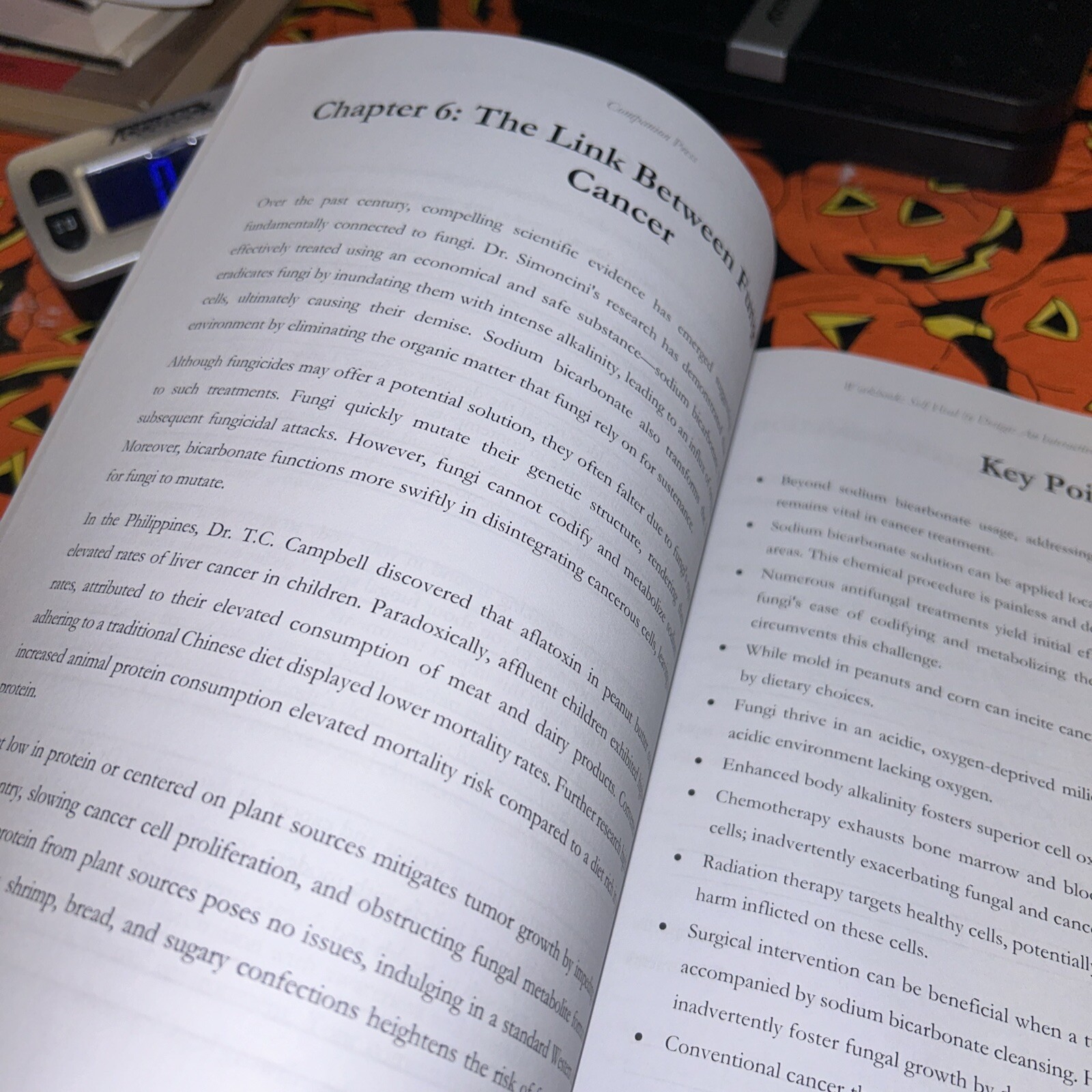 Workbook: Self-Heal by Design: an Interactive Guide to Barbara O’Neill’S Book