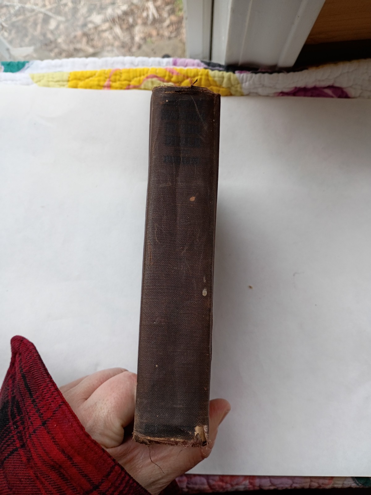Human Nature In The Bible, William Lyon Phelps 1922 – Rare First Edition