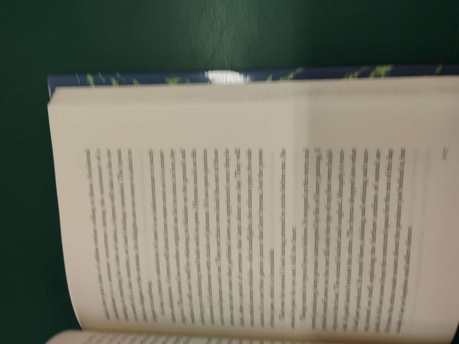 Life of Pi by Yann Martel True First Printing