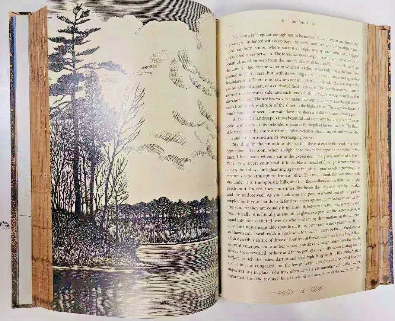 THE ILLUSTRATED WALDEN or Life in the Woods Henry David Thoreau Illustrated NEW