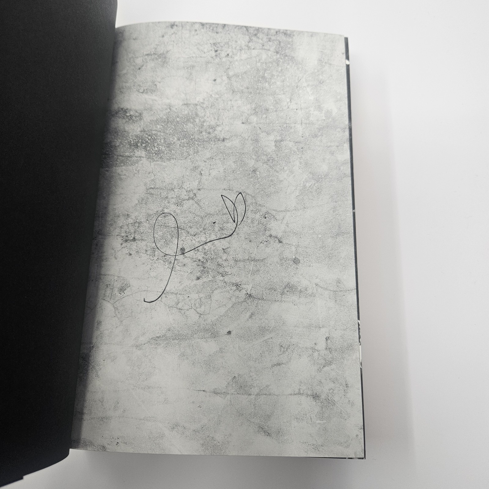 SIGNED! NEW! Brimstone Deluxe Limited Edition By Callie Hart Hardcover