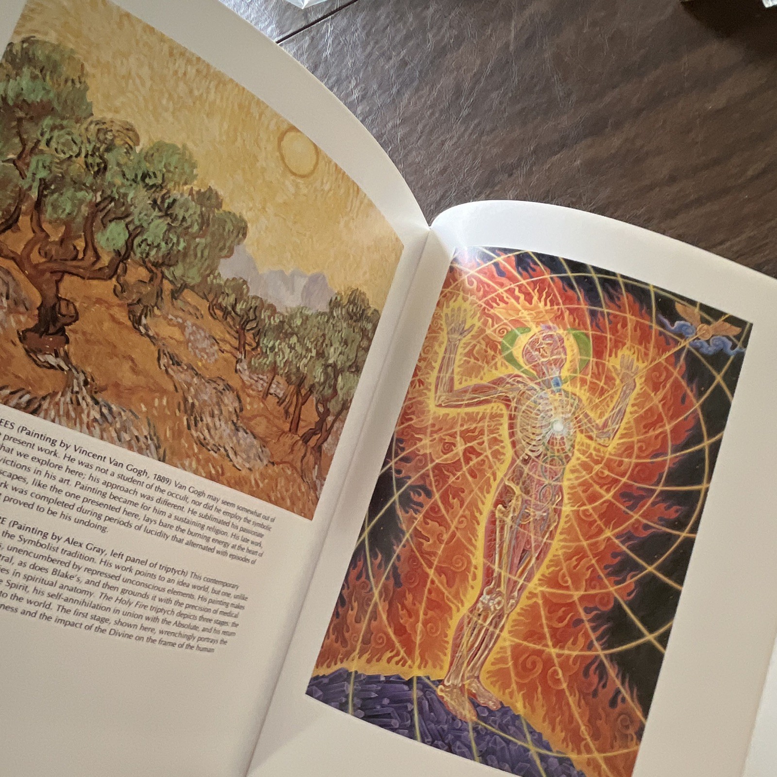Art and Symbols of the Occult HC Illustrated James Wasserman 1993 Tiger Books