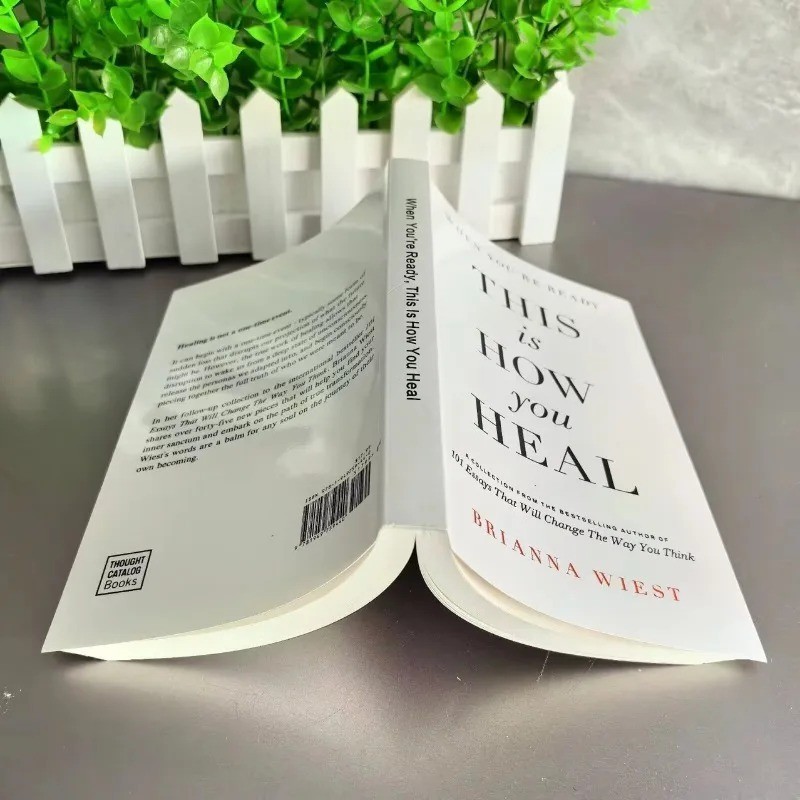 When You’re Ready This is How You Heal by Brianna Wiest – USA Seller