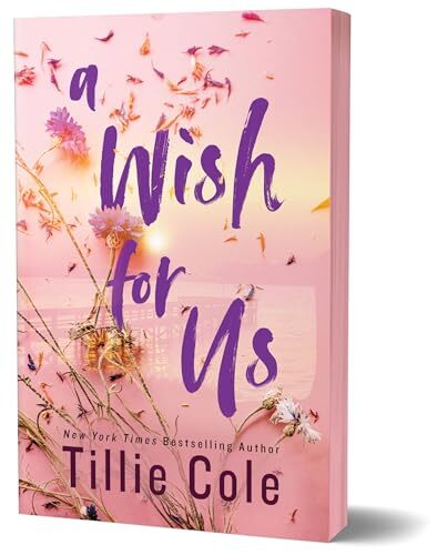 A Wish for Us Deluxe Edition – Paperback – GOOD