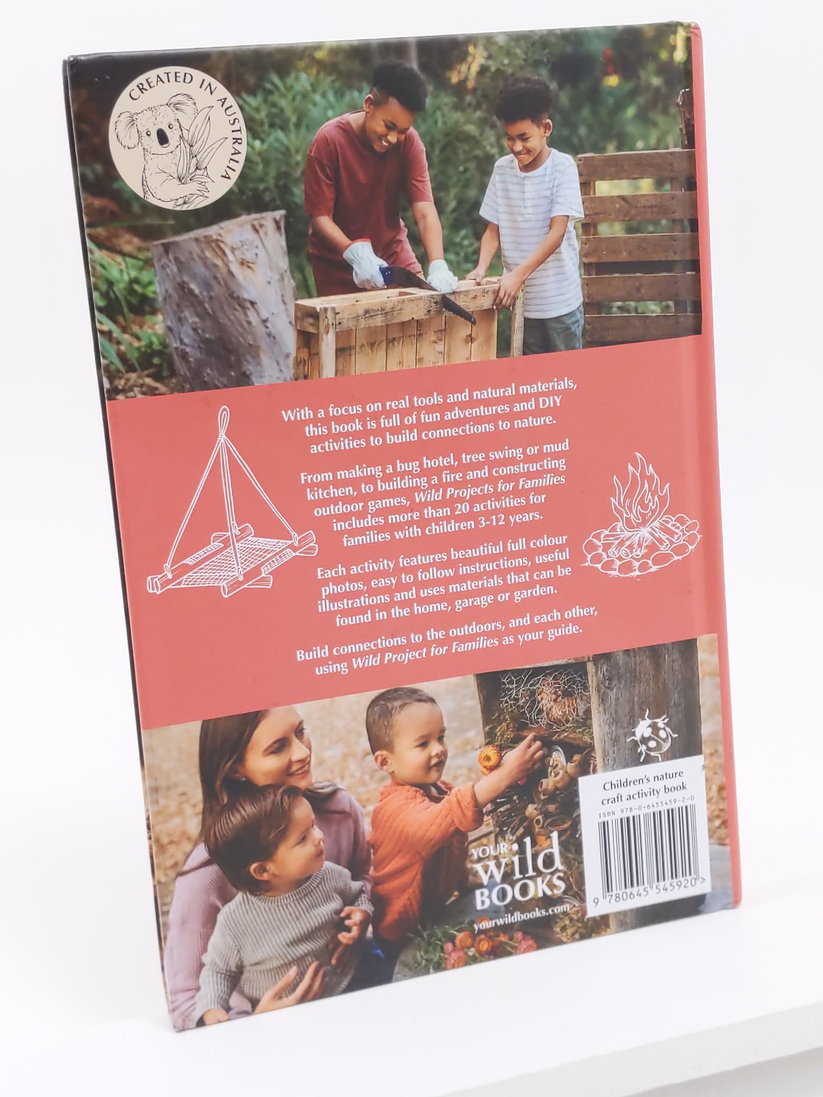 Wild Projects for Families (Nature Craft Series Book 4) by Brooke Davis