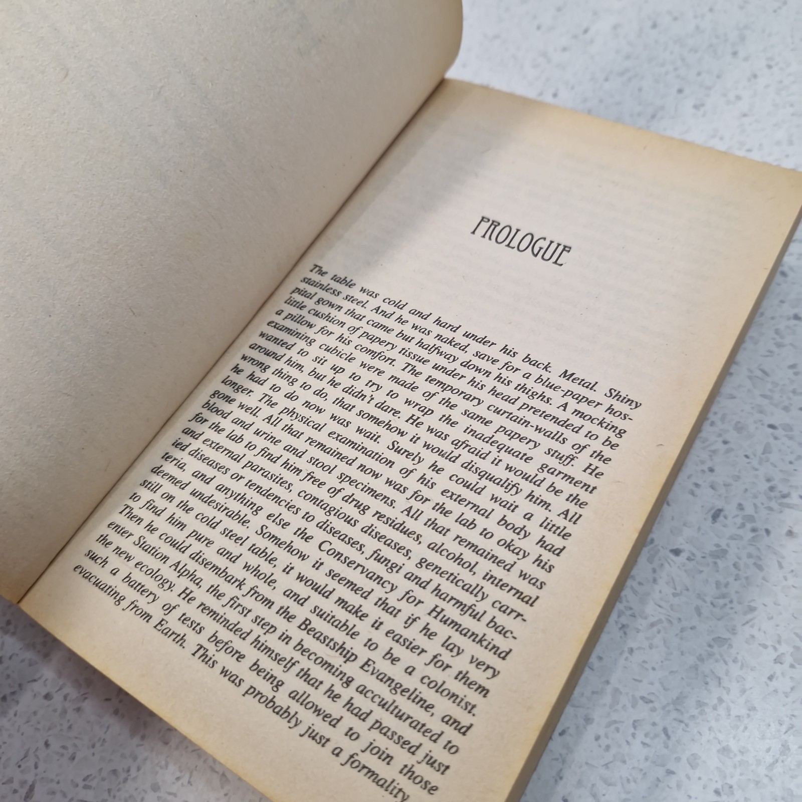Alien Earth by Megan Lindholm Vintage Paperback Science Fiction Space Novel