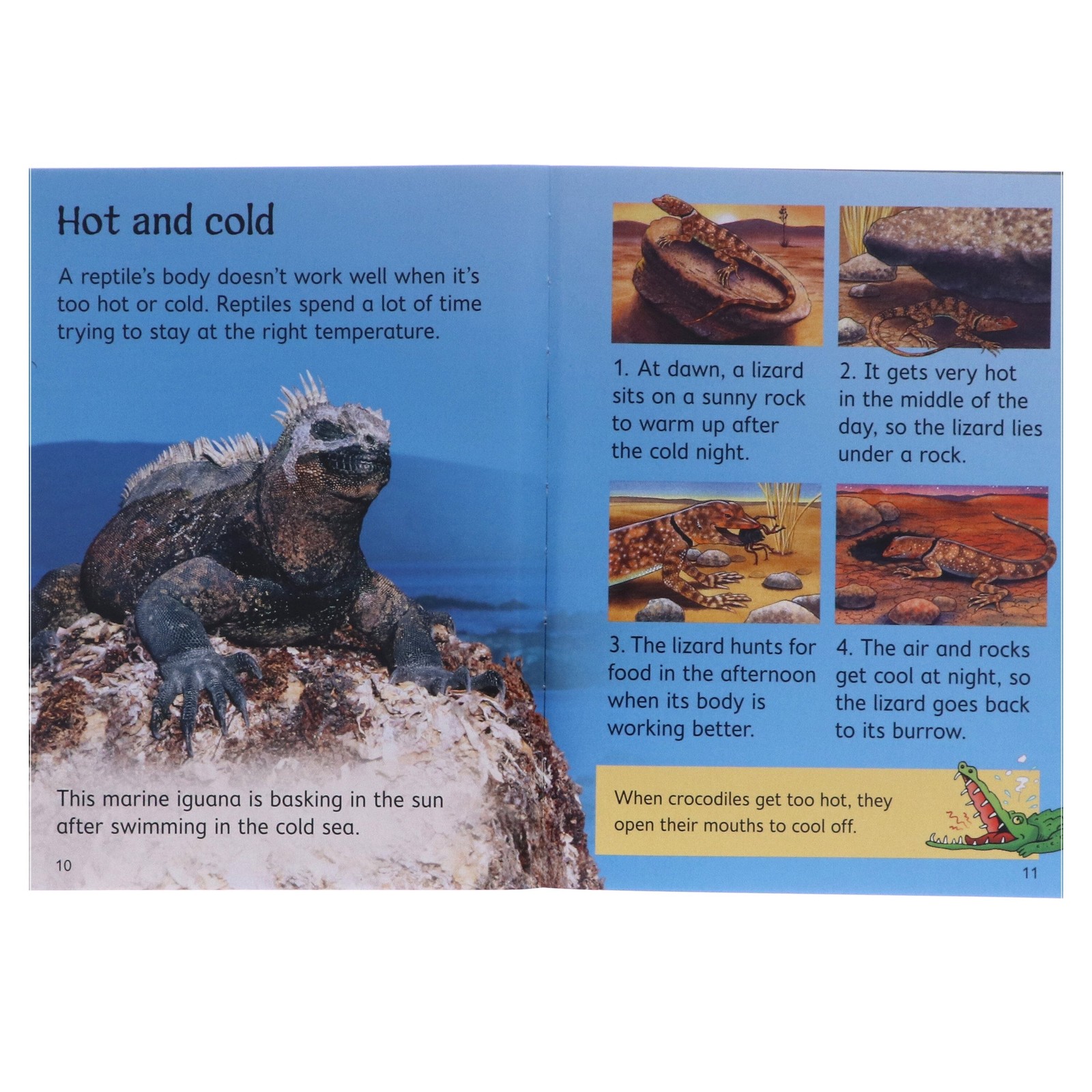 Usborne Beginners Nature 10 Books Children Collection – Ages 4-7- Paperback