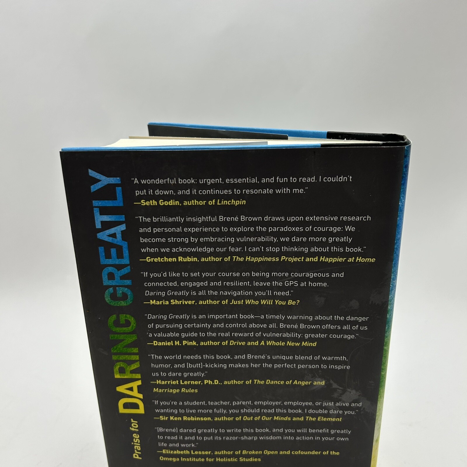 Daring Greatly: How the Courage to Be Vulnerable Transforms the Way We Li