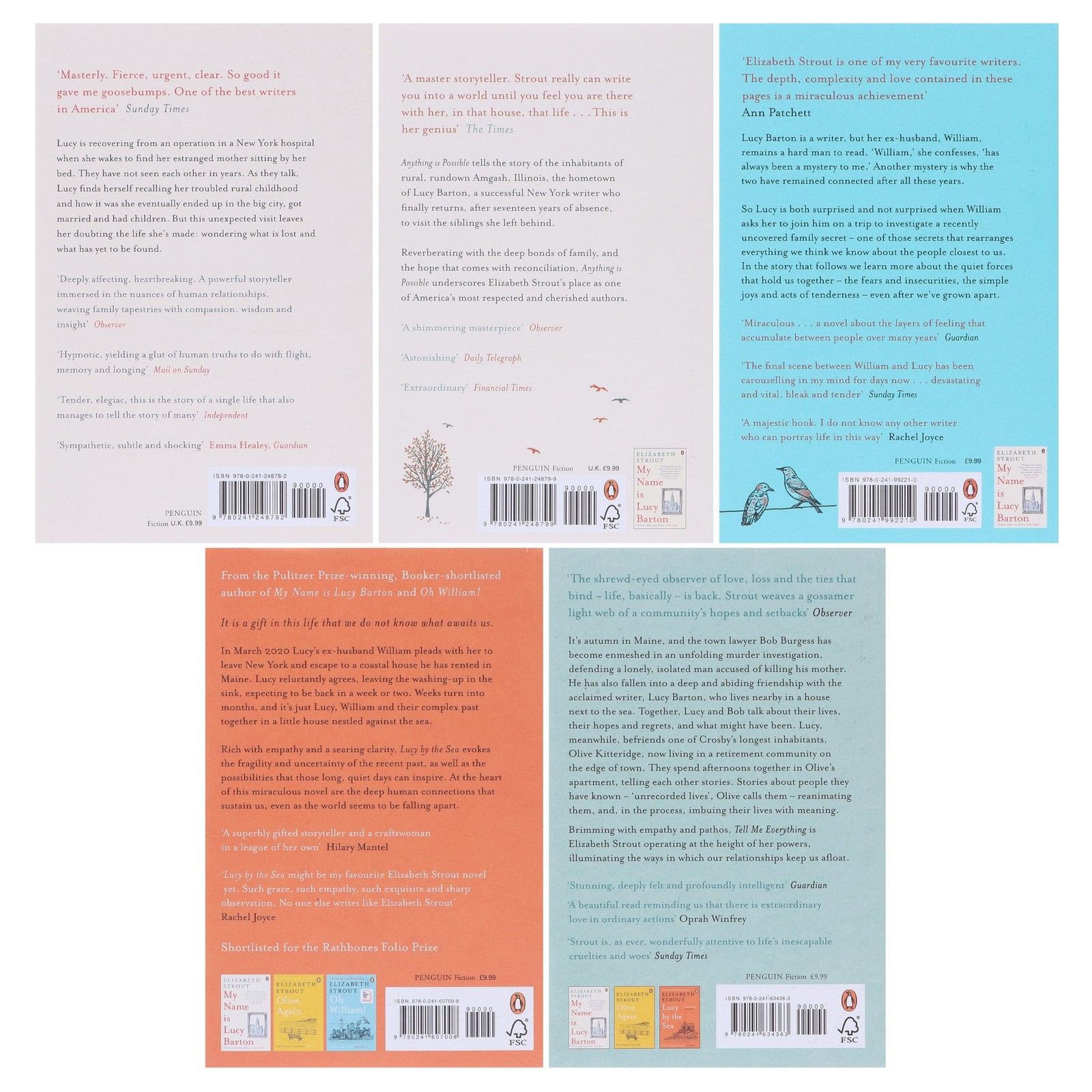 Amgash Series by Elizabeth Strout 5 Books Collection Set – Fiction – Paperback